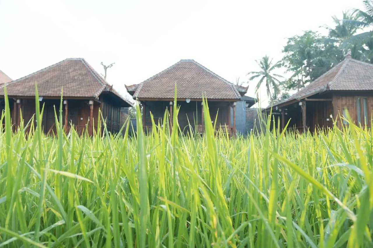 Uma Lanne - A Wooden Hideway Villas Ubud  Ubud (Bali)