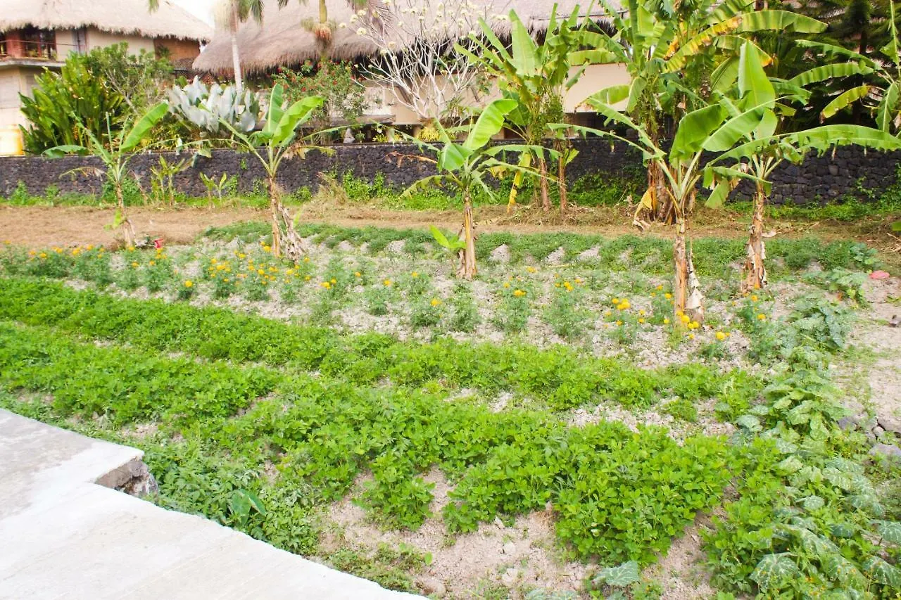 Uma Lanne - A Wooden Hideway Villas Ubud