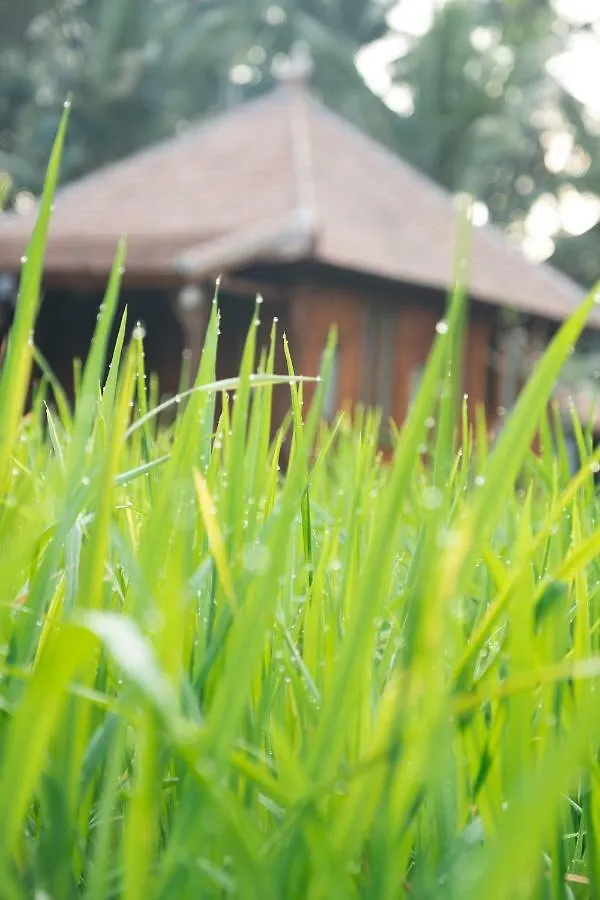 Uma Lanne - A Wooden Hideway Villas Ubud Indonesia